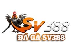 Vì sao SV388 được ưa chuộng?