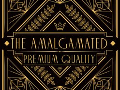 Image for The Amalgamated