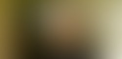 2a9a1eeb0c487f1f4df3ae8d784117959777e716