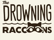 The Drowning Raccoons