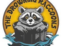 The Drowning Raccoons