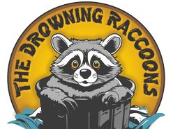 Image for The Drowning Raccoons