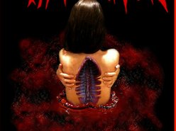 Image for SPINE EXTRACTION