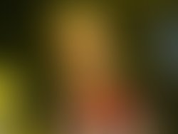 D99316a2 9a49 4daf bfdc 5e8c7b8e8c4d 1108 000001443464cef2