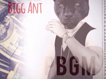 Bigg Ant