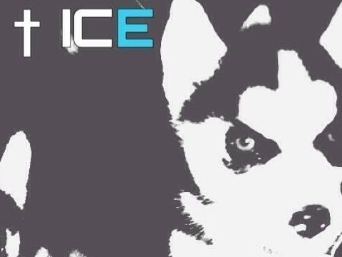 ReverbNation profile picture for @ofice