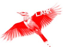 Lyrical Arkitect (L.Ark)