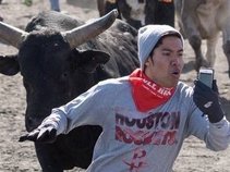 timberbull