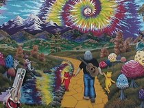Wildflower Conspiracy