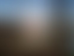 Artist 7391201 1627703113