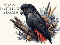 Sean Patrick Adams