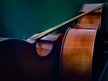 Cello Concerto No.31 [D minor] "The Waterfall"