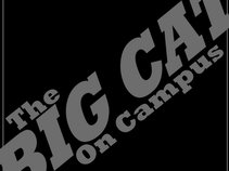The Big Cat On Campus