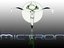 MICTRON INC. PRESENTS THE RESUME' EP