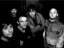Image for Disco Machine Gun/Bradford