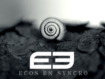 ECOS EN SYNCRO
