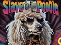 Slave to the Poodle
