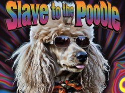 Slave to the Poodle