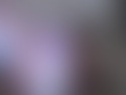 Img 20250420 081150