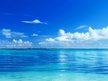 This Sea Forever