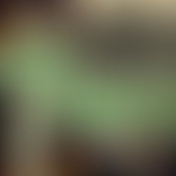 Img 1775849222713
