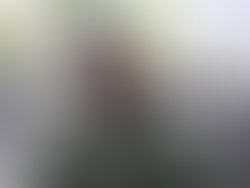 S5020171 1282311618