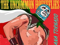 The Uncommon Houseflies