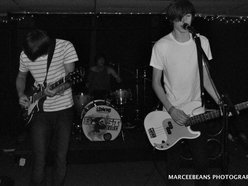 Image for Coasts