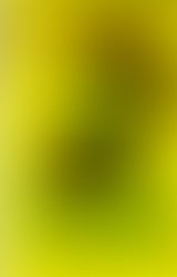 1345960855 dopealien2012