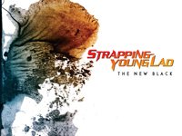 Image for Strapping Young Lad