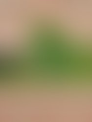 Img 20250811 164003006 hdr