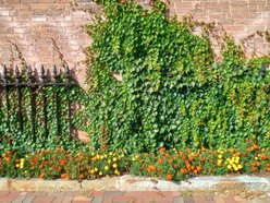 A Glimpse of The Future