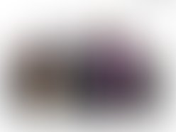 1254759210 1263319693 1263319719