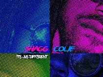 shagg colie mr.478