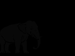 Image for Elephants