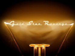 Image for Gold Star Revenge