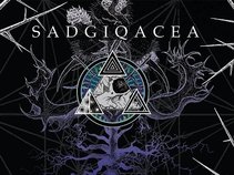 SADGIQACEA (sad-juh-kay-sha)