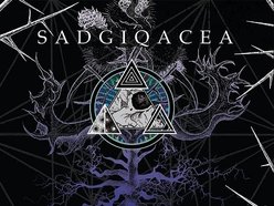Image for SADGIQACEA (sad-juh-kay-sha)