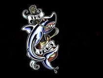THE JAWS