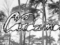 Cardamon