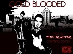 Image for COLD BLOODED MUSIC