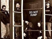 Accusations of the Insane