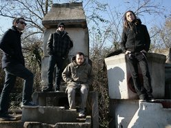 Image for Greve