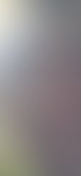 17597833896521645694617134403608