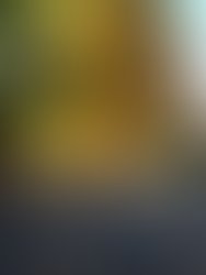 Img 20251018 084631607