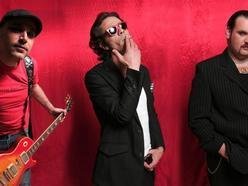 Image for The Rockin Bones