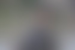 1325047837 prof1