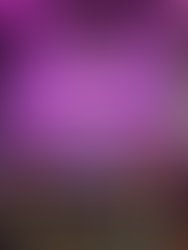 Img 20251115 134307282 hdr