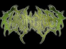 CHRONOLOGY
