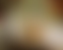 1405082810 brainslicer